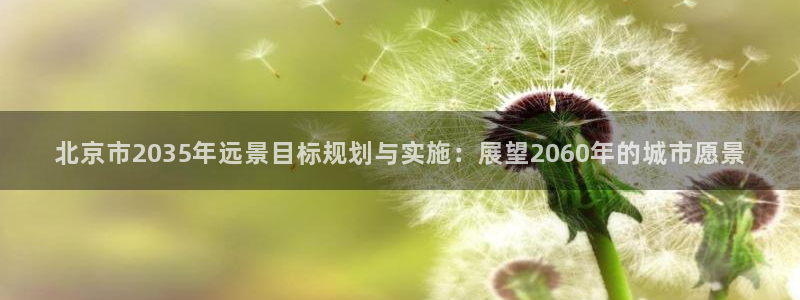 球盟会进不去
