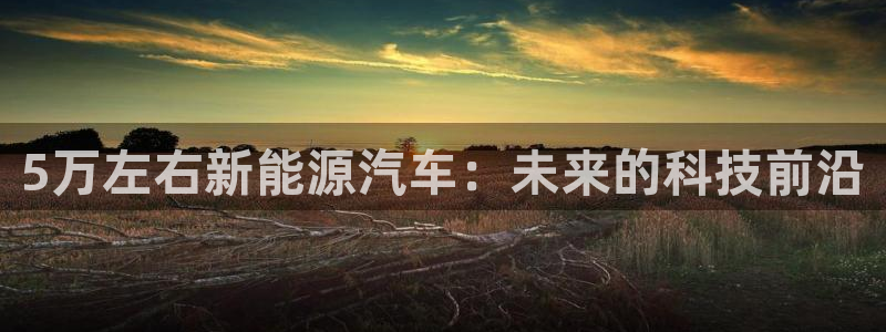 球盟会黑