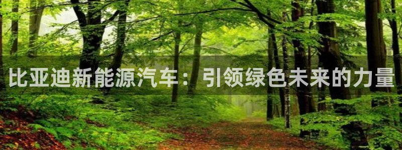 球盟会黑台子：比亚迪新能源汽车：引领绿色