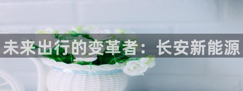 球盟会能提现吗：未来出行的变革者：长安新