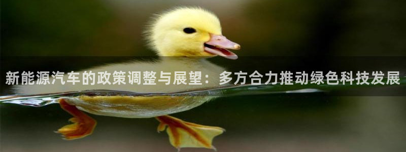 球盟会平台会黑单吗：新能源汽车的政策调整