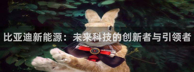 球盟会黑台子吗：比亚迪新能源：未来科技的