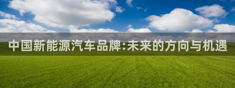 球盟会最新活动：中国新能源汽车品牌:未来
