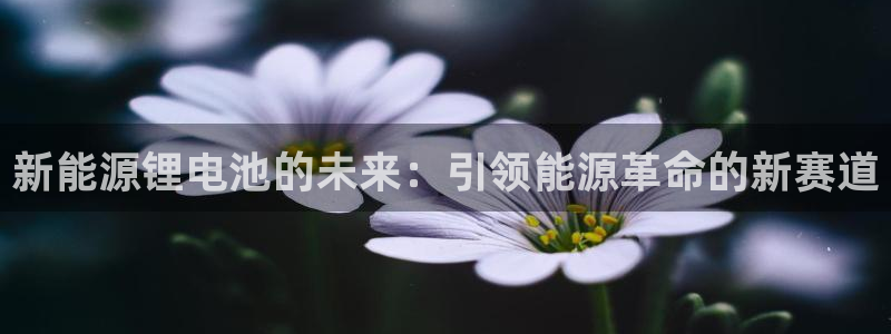 球盟会邮箱