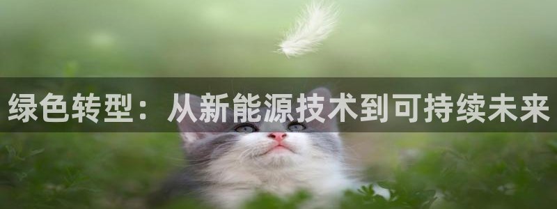 球盟会最新网