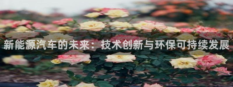 球盟会下款快吗