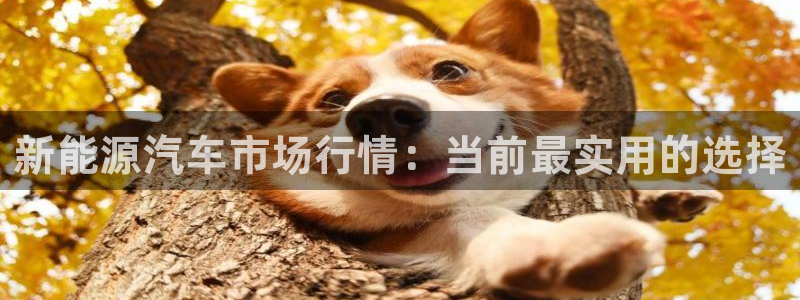 球盟会能退钱吗现在