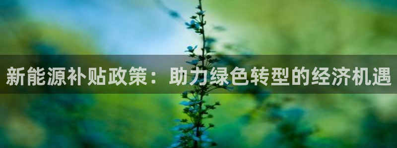 球盟会qm：新能源补贴政策：助力绿色转型