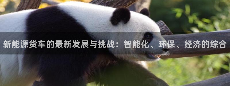 球盟会官方入口：新能源货车的最新发展与挑